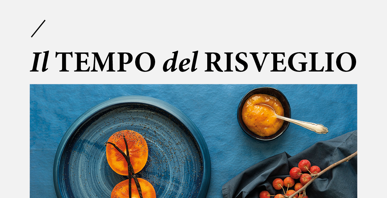 cover_Il-tempo-del-risveglio-regia-comunicazione_covid